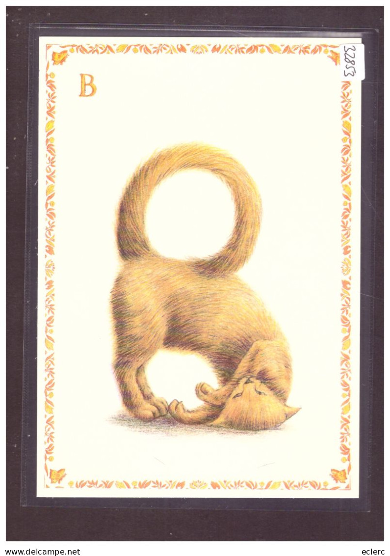 FORMAT 10x15cm - LE CHAT ALPHABET - DESSINS DE ARMELLE BOY - TB - Collezioni E Lotti