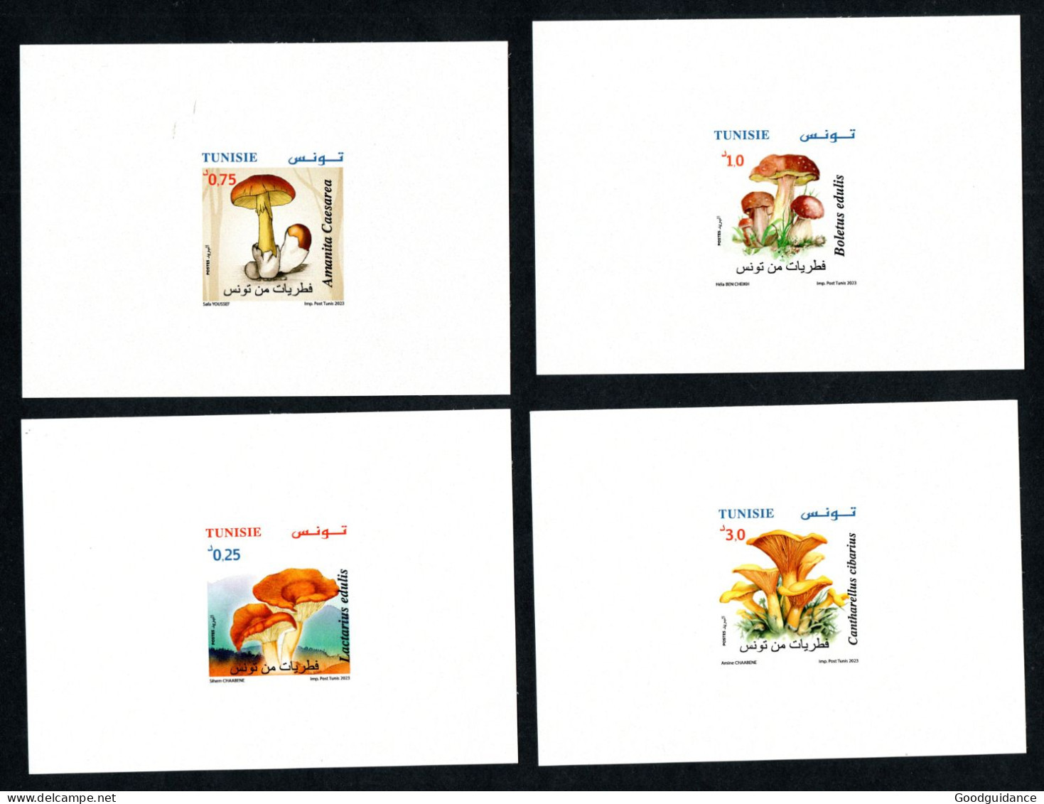 2023 - Tunisia - Luxury Edition - Mushrooms- Champignons -Complete Set 4v.MNH** - Hongos