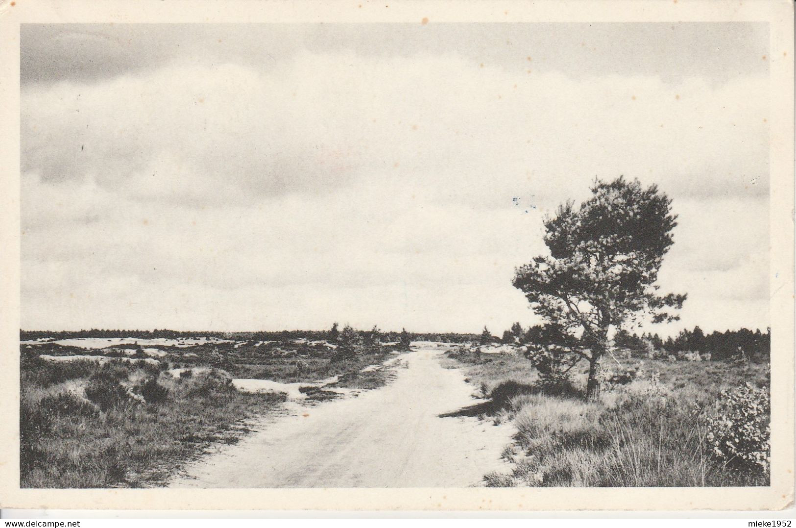 Calmpthout , Kalmthout , Kalmthoutse Heide  ,  Les Bruyères ( Vakantiekolonie Kindervreugd Domein Diesterweg ) - Kalmthout