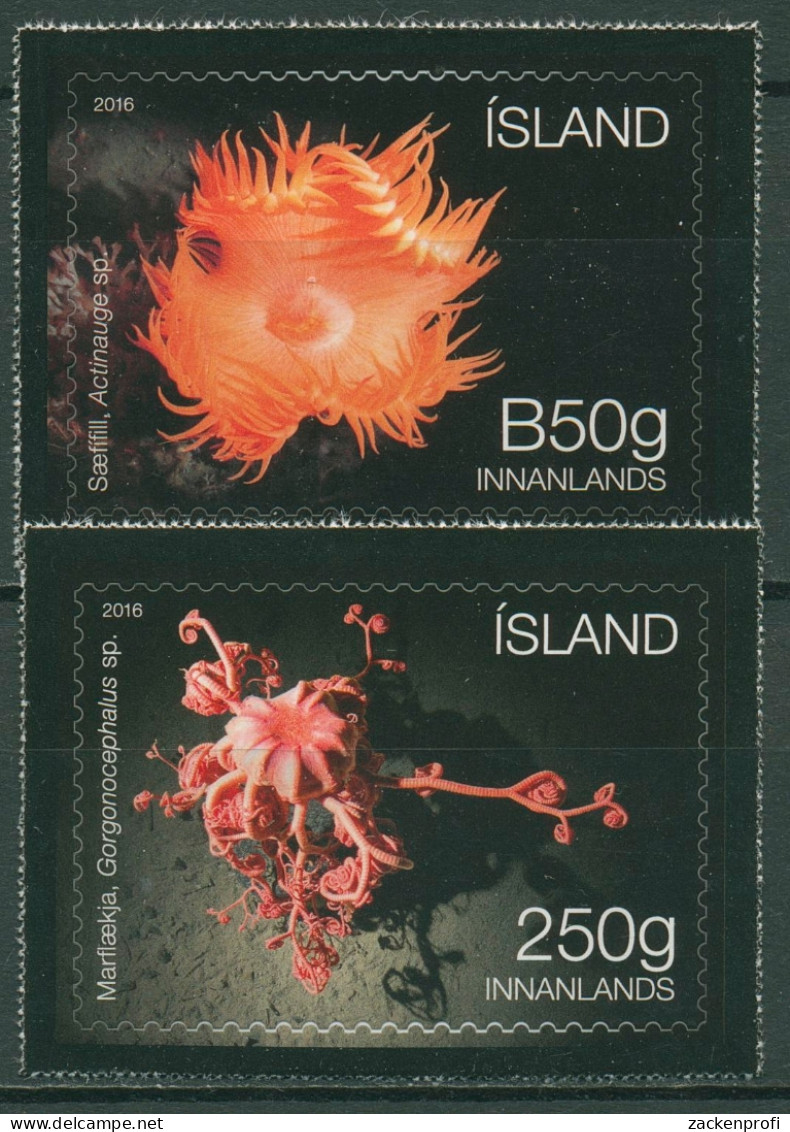 Island 2016 Meereslebewesen Seeanemone 1503/04 Postfrisch - Unused Stamps