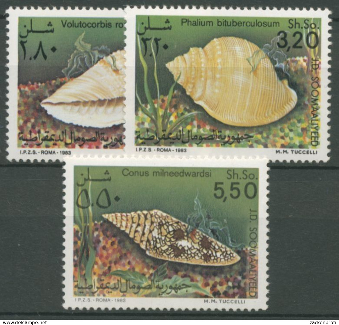 Somalia 1984 Meeresschnecken 349/51 Postfrisch - Somalie (1960-...)
