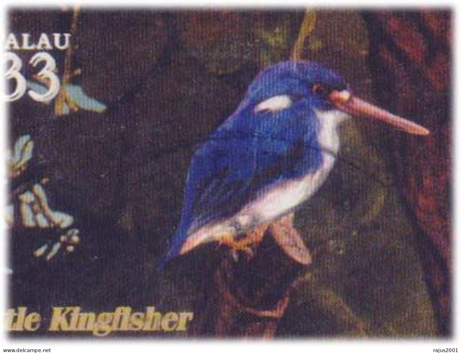 Little Kingfisher Bird, Mangrove Snake, Bats, Frog, Monkey, Reptiles, Animals, Flora Fauna Palau MS FDC - Climbing Birds