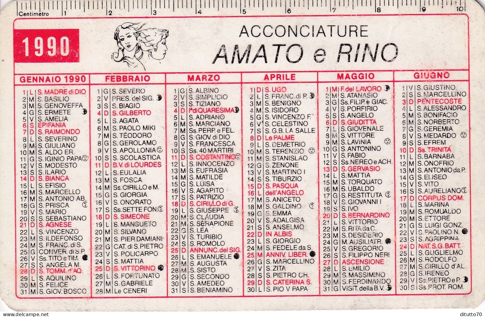 Calendarietto - Acconciature - Amato E Rino - Argenta - Ferrara - Anno 1990 - Tamaño Pequeño : 1981-90