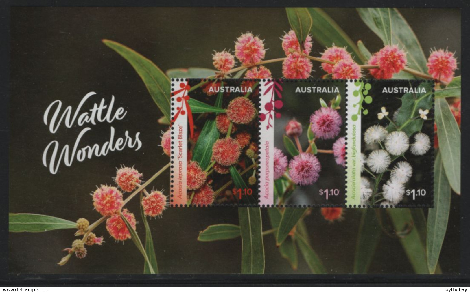 Australia 2021 MNH Sc 5363a Wattle Wonders Sheet Of 3 - Unused Stamps