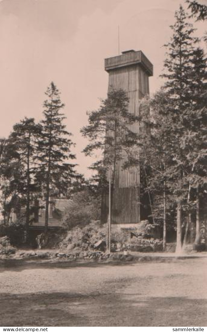 16572 - Wildenau - Berggaststätte Steinberg - 1963 - Plauen