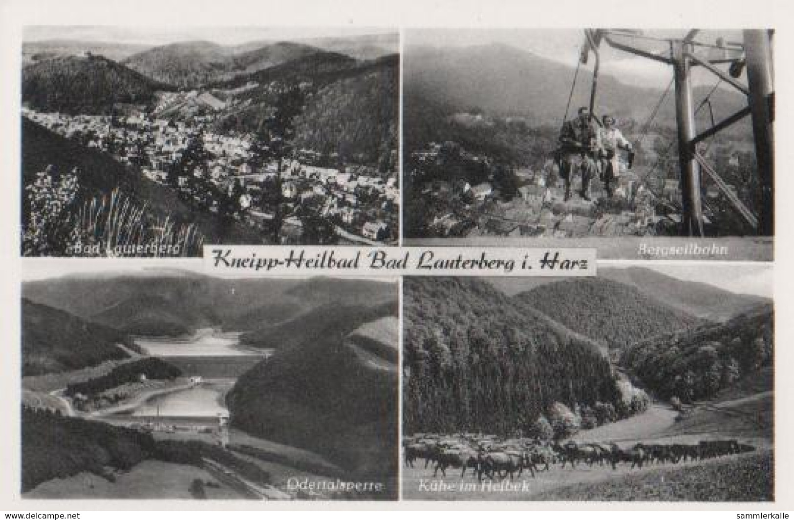 17609 - Bad Lauterberg Im Harz - Ca. 1955 - Bad Lauterberg