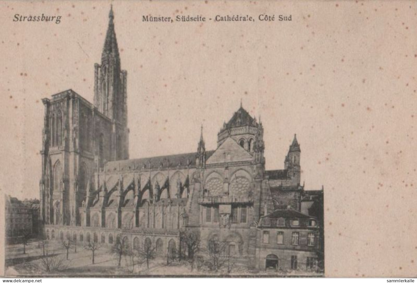 41825 - Strassburg - Münster, Südseite - Ca. 1940 - Elsass