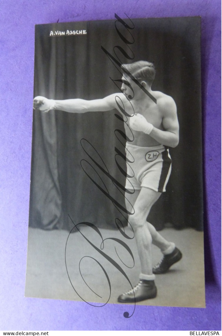 Boksen Bokser   Boxeur Boxing Boxer  " A.VAN ASSCHE    "   Fotokaart Photo HALLEUX Logo Z.H. - Boxe