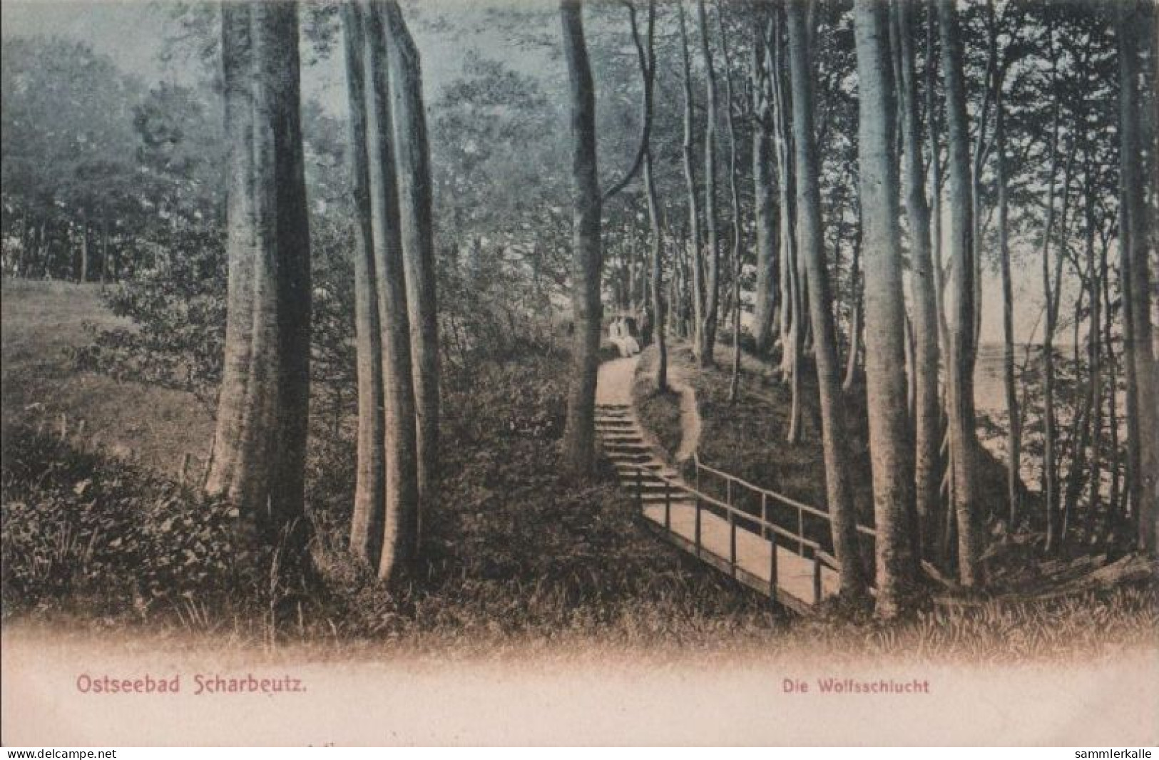112184 - Scharbeutz - Wolfsschlucht - Scharbeutz