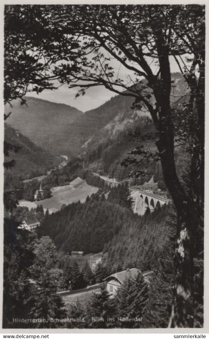 134401 - Hinterzarten - Blick Ins Höllental - Hinterzarten