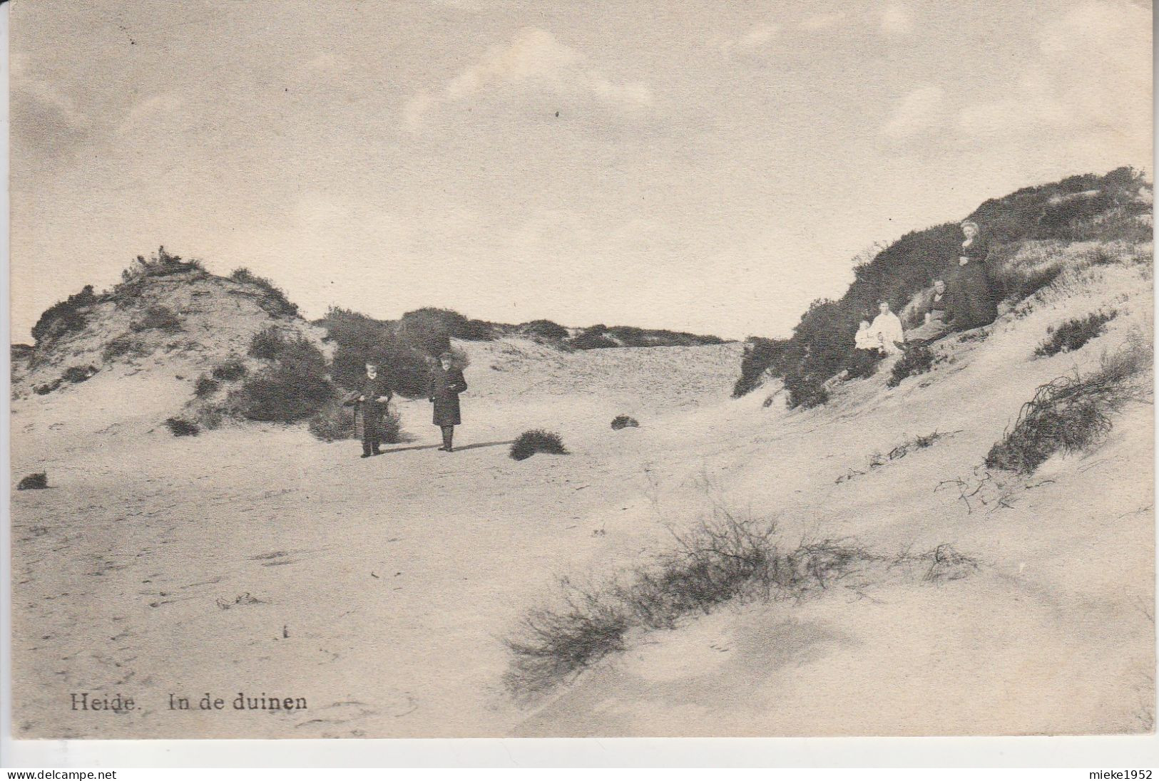 Heide - Calmpthout , Kalmthout ,  In  De  Duinen - Kalmthout