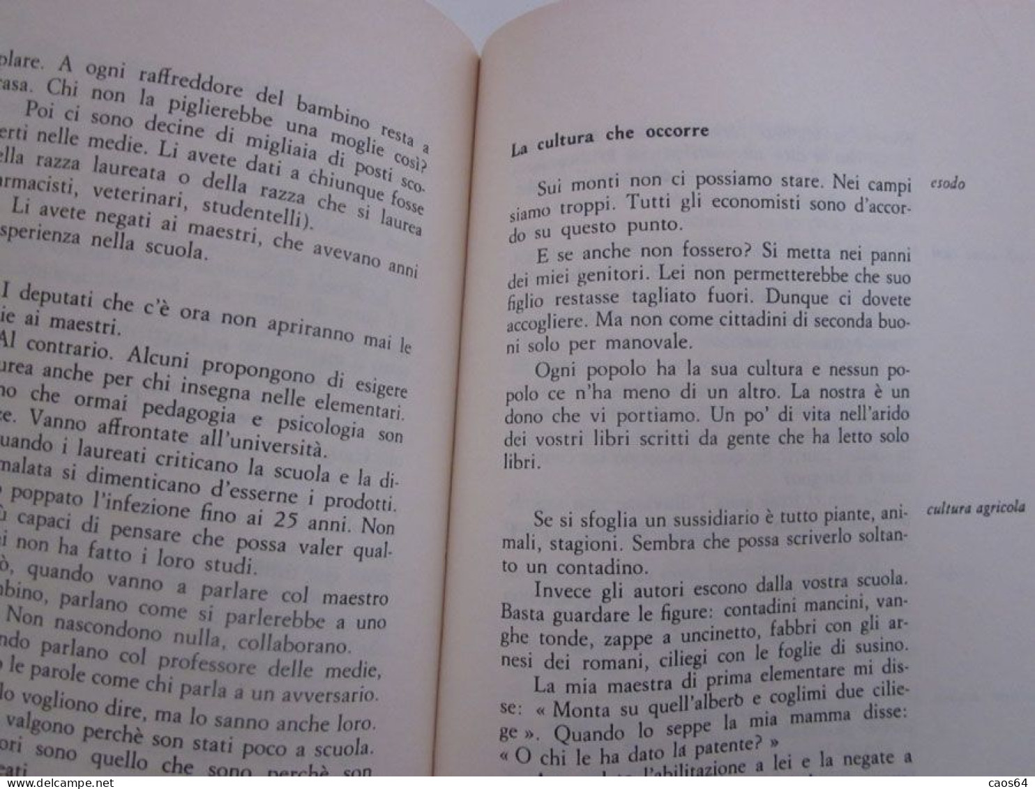 Scuola Di Barbiana  Lettera A Una Professoressa  Libreria Editrice Fiorentina 1996 - Gesellschaft Und Politik