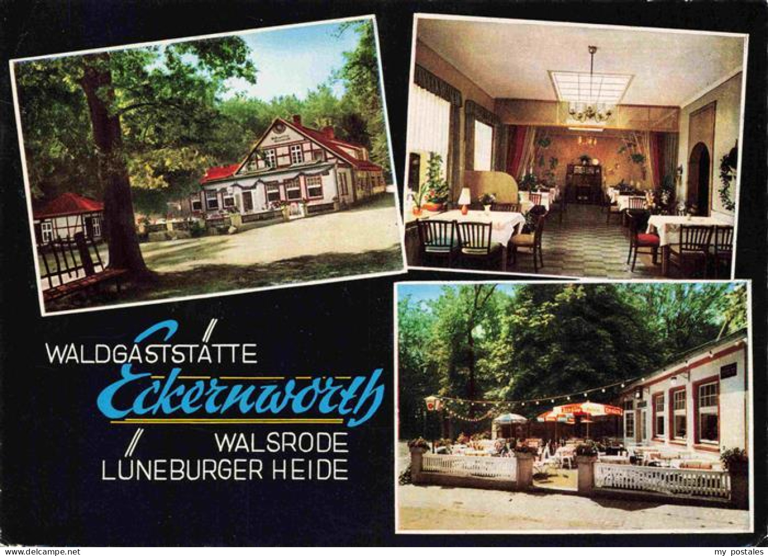 73968457 Walsrode_Lueneburger_Heide Waldgaststaette Eckernworth Gastraum Terrass - Walsrode