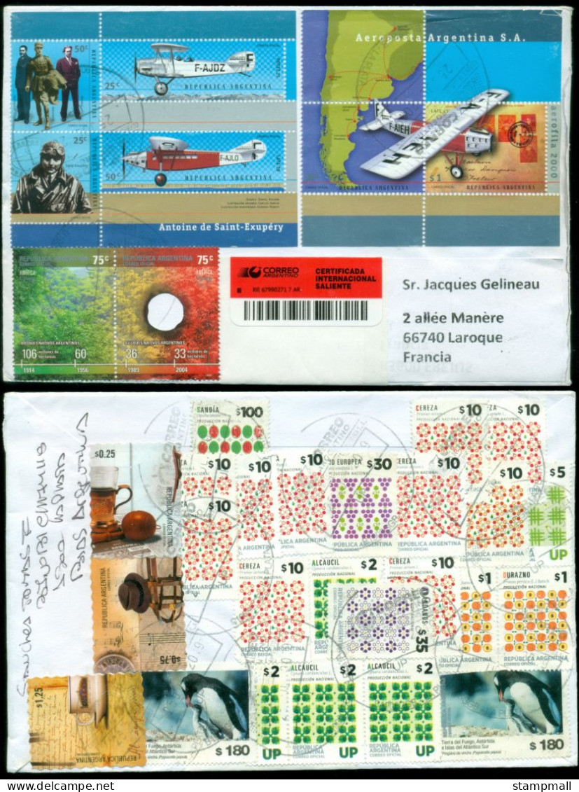 Argentina 2020 Mixed Franking Cover To France Airplane,Bird (XL) - Cartas & Documentos