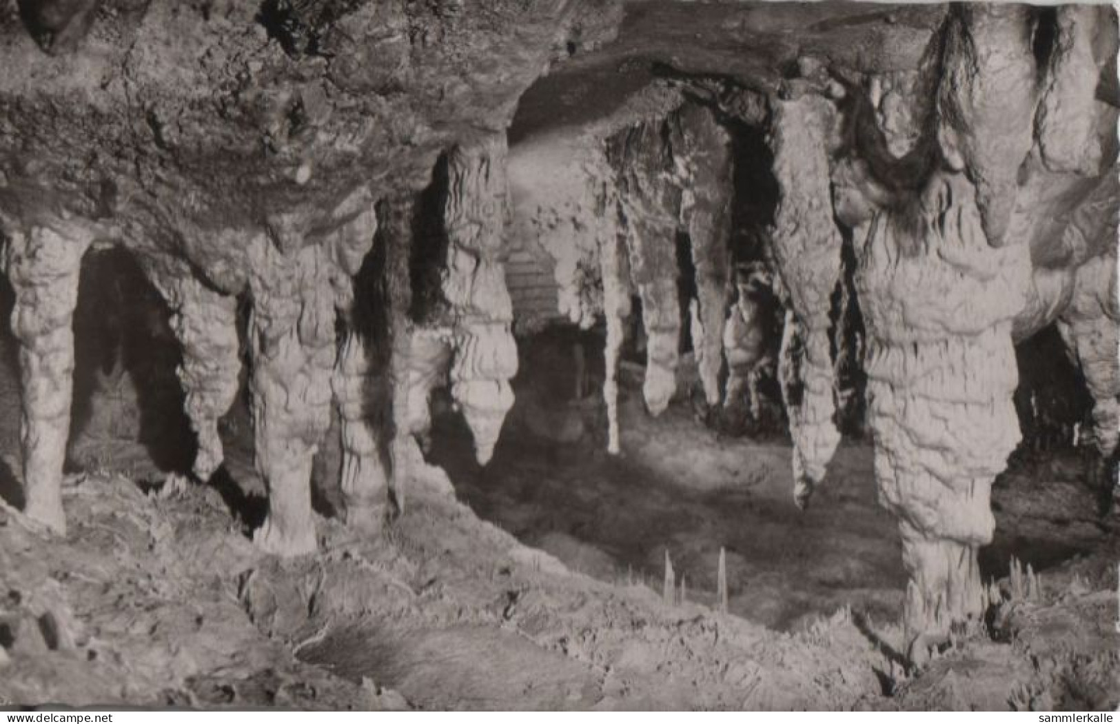 61310 - Sonnenbühl-Genkingen - Unterhausen, Nebelhöhle - 1964 - Reutlingen