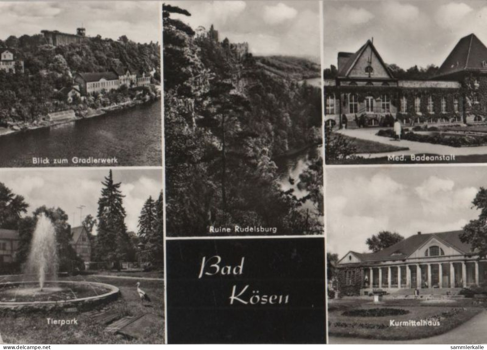 43573 - Bad Kösen - U.a. Tierpark - 1972 - Bad Koesen