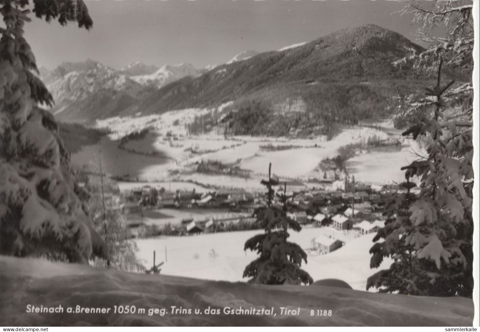 123323 - Steinach Am Brenner - Österreich - Gegen Trins - Steinach Am Brenner