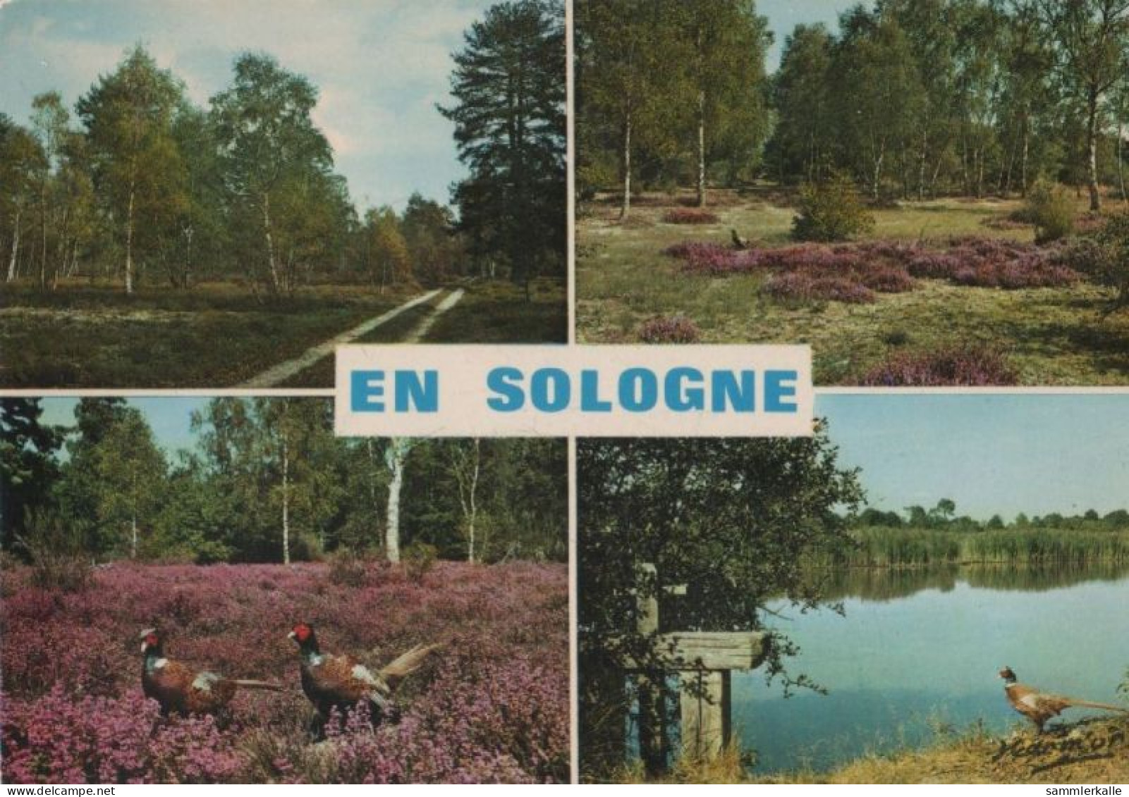 89133 - Frankreich - Sologne - 4 Teilbilder - Ca. 1980 - Other