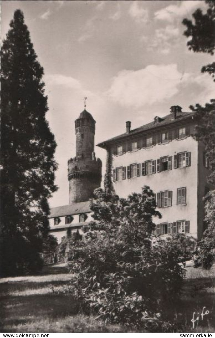 70575 - Bad Homburg - Im Schlosspark - 1960 - Bad Homburg