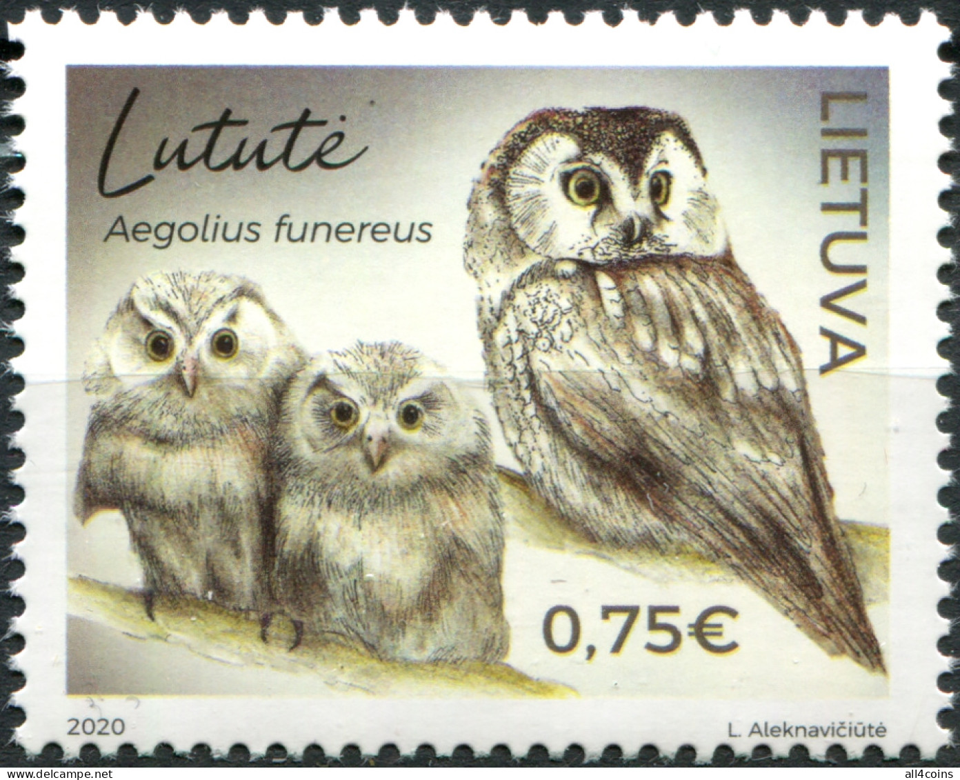 Lithuania 2020. Boreal Owl (Aegolius Funereus) (MNH OG) Stamp - Lituania