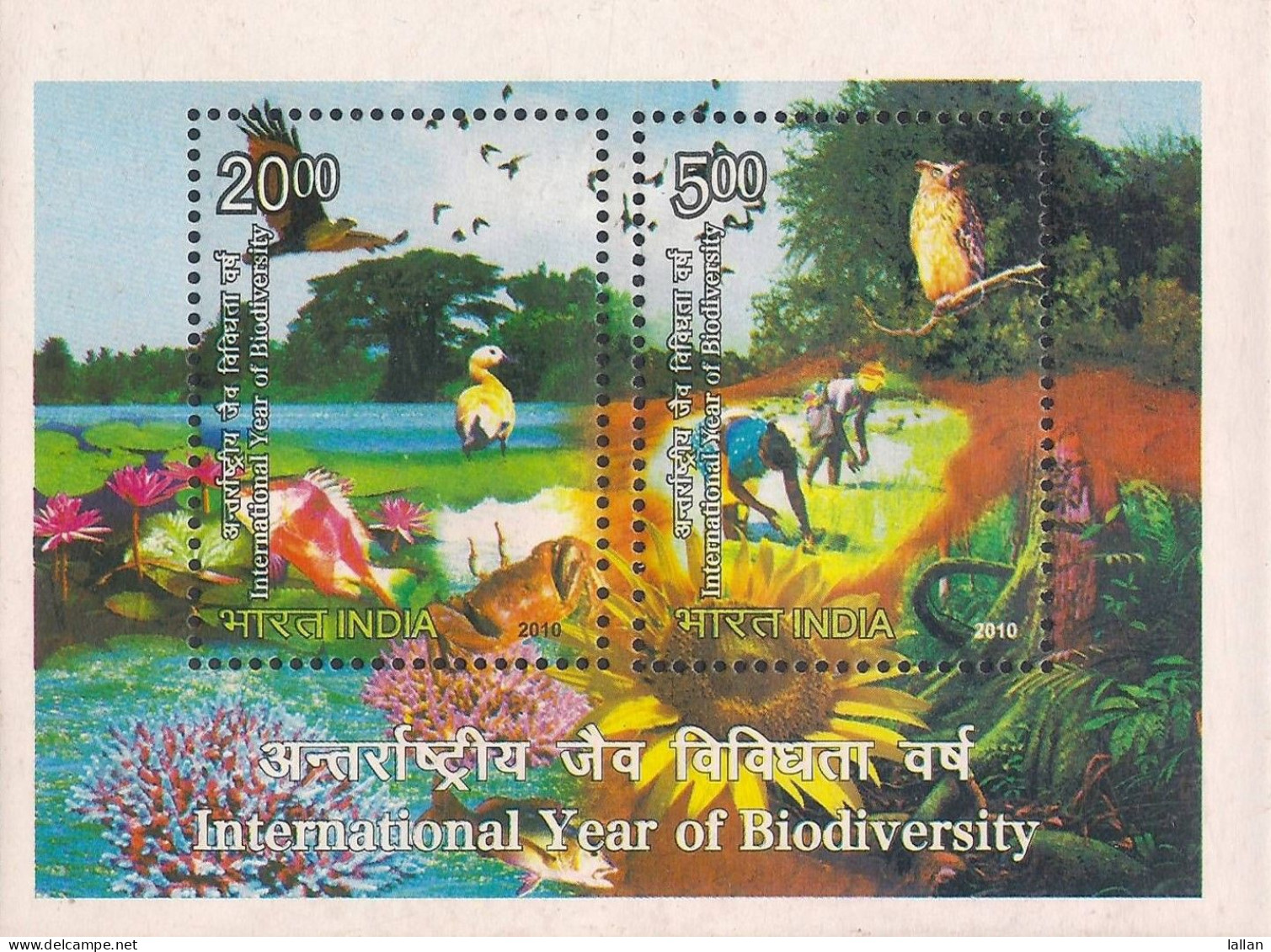 International Year Of Biodiversity, 2V MS, Owl, Duck, 2010, Condition As Per Scan - Unused Stamps