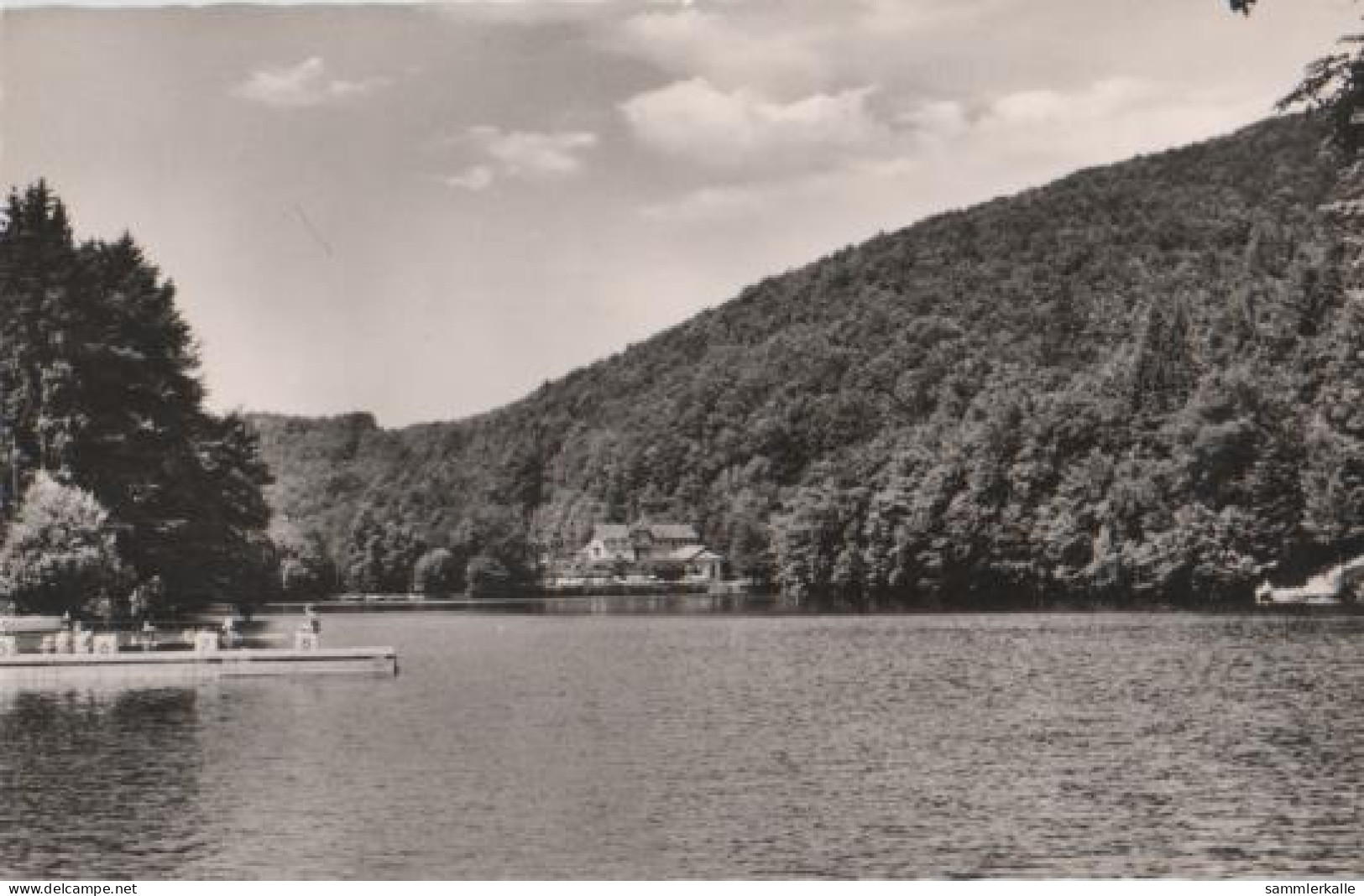 17616 - Bad Lauterberg - Wiesenbeker Teich - Ca. 1955 - Bad Lauterberg