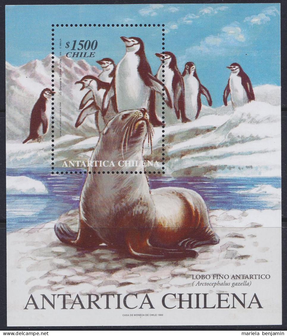 Chili - BF59 ** Manchots à Jugulaire & Phoques De Weddell - Fauna Antártica