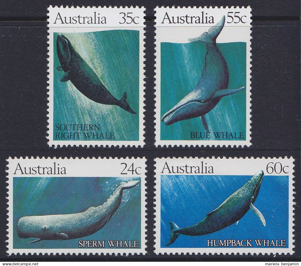 Australie - 763/66 ** Baleines 1982 - Fauna Antártica