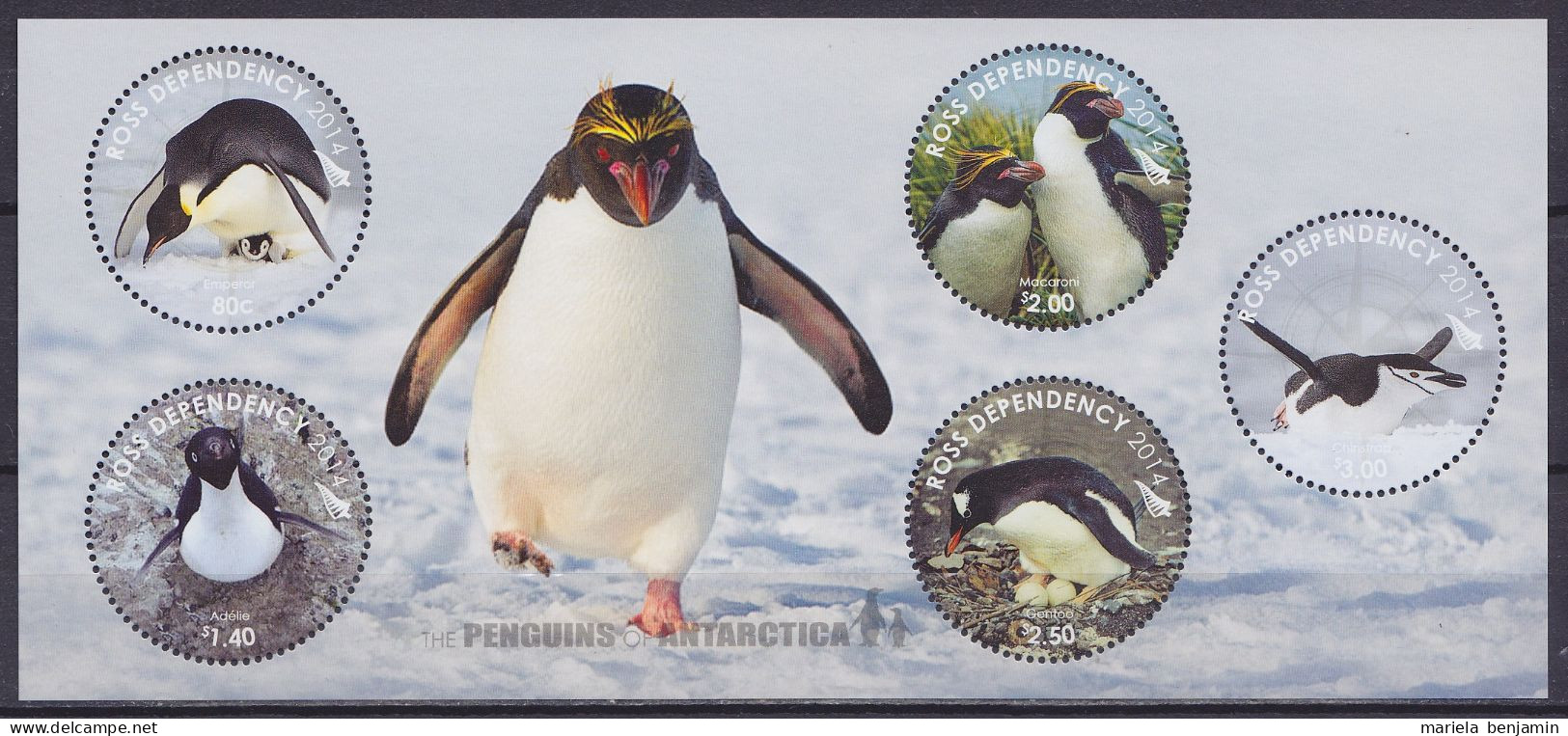 Ross Dependency - BF7 ** Manchots De L'Antarctique 2014 - Antarctic Wildlife