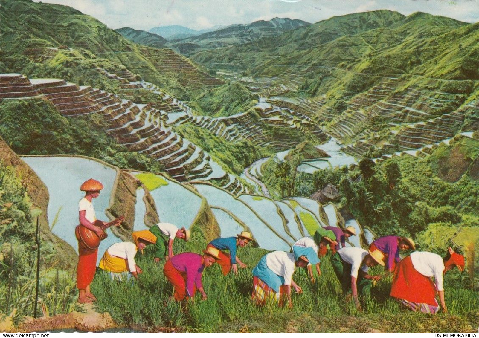 Philippines - Rice Terraces 1987 - Filipinas