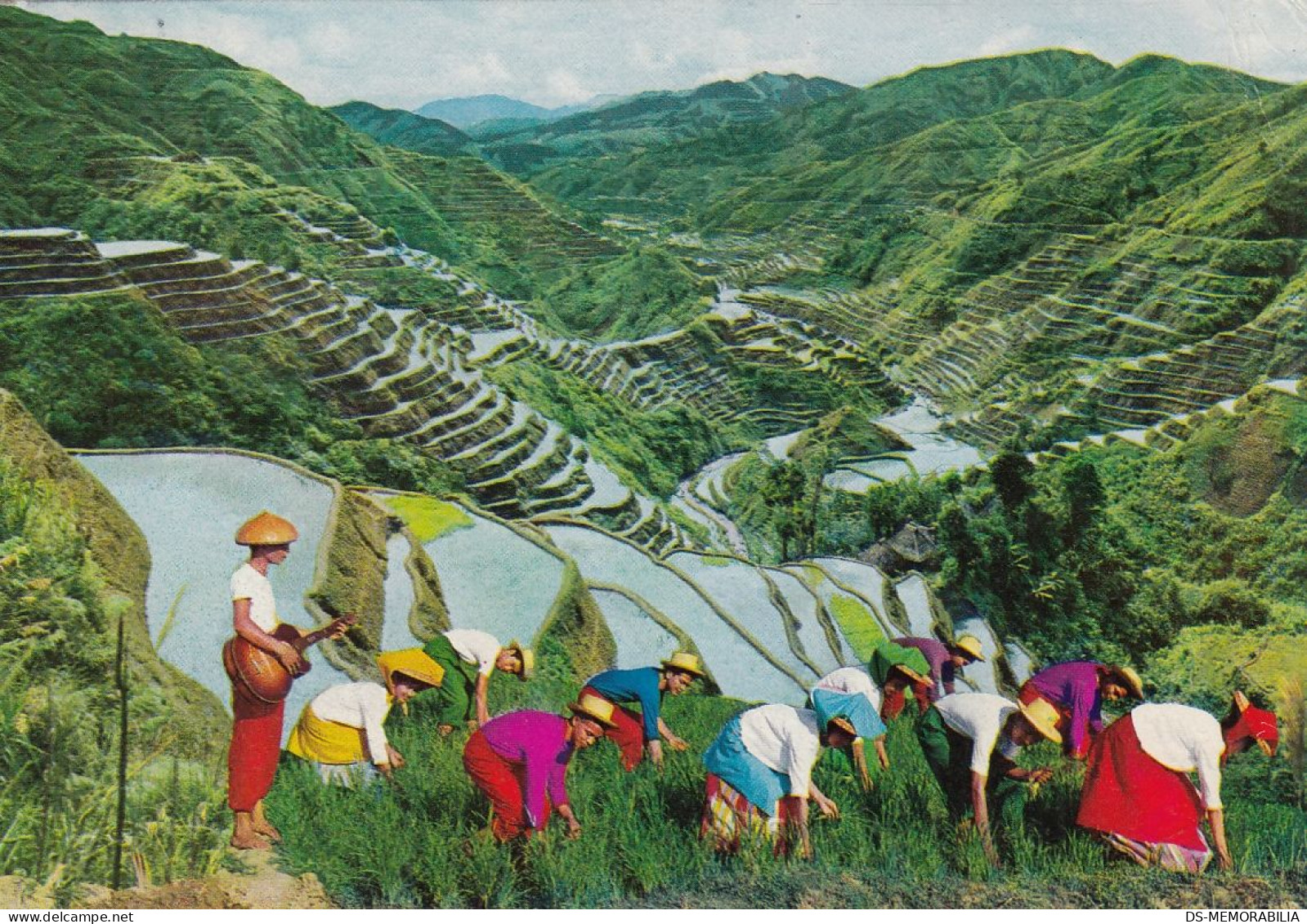 Philippines - Rice Terraces 1977 - Philippinen