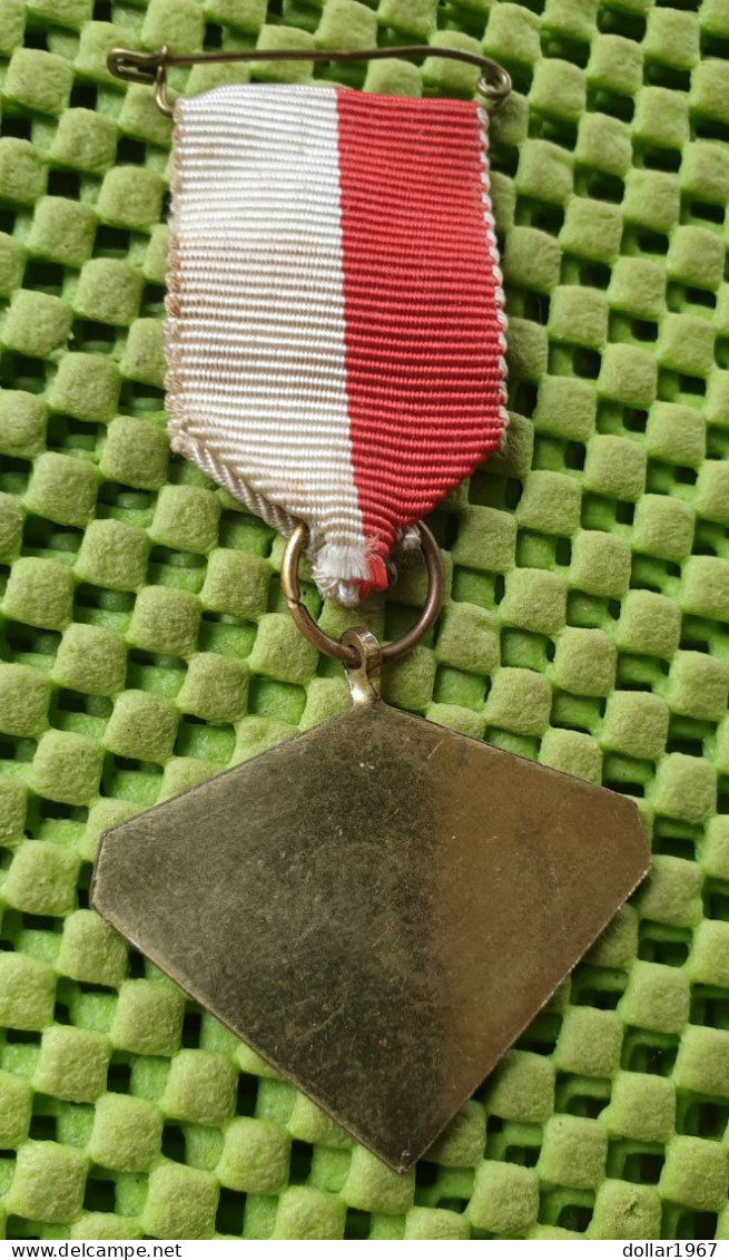 Medaile : DWS (Door Wilskracht Sterk) Afferden 1956-1966 (Limburg ) . -  Original Foto  !!  Medallion  Dutch - Autres & Non Classés