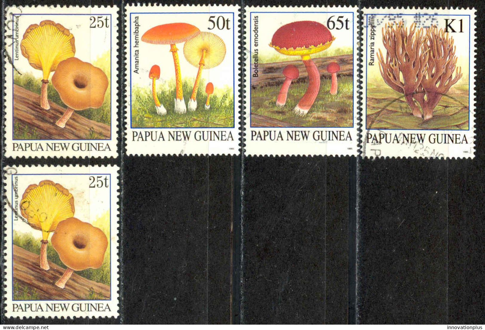 Papua New Guinea Sc# 872-875A Used 1995-1996 Mushrooms - Papua New Guinea