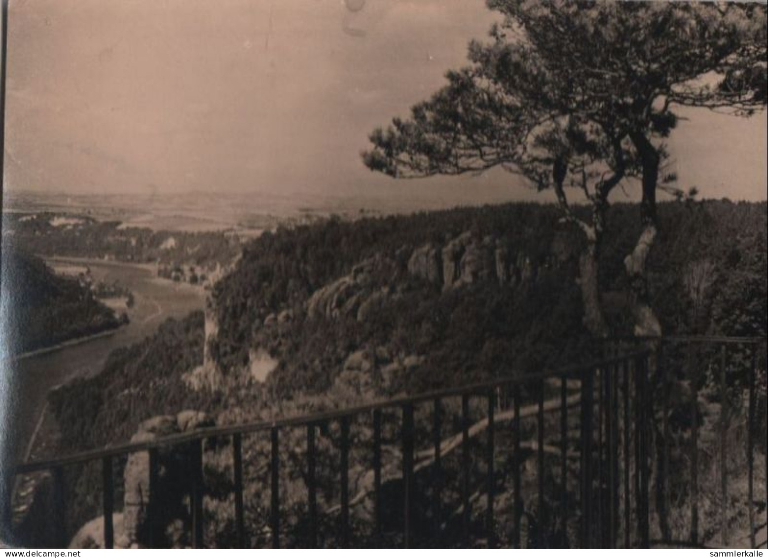 53124 - Wehlen - Blick Vom Basteifelsen - 1962 - Wehlen