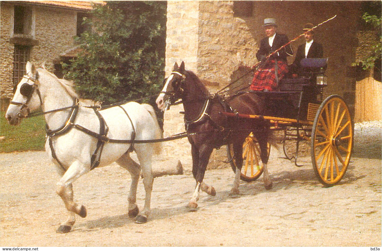 77 - LIVERDY EN BRIE TOURNAN MUSEE DU CHEVAL  - Tournan En Brie