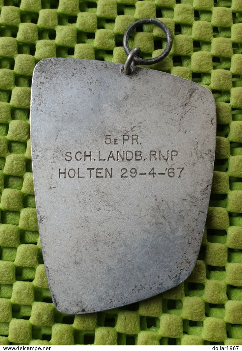 Medaile :  Paarden Keuren - Sch. Landb. Rijp Holten 29-4-1967 . -  Original Foto  !!  Medallion  Dutch - Sonstige & Ohne Zuordnung