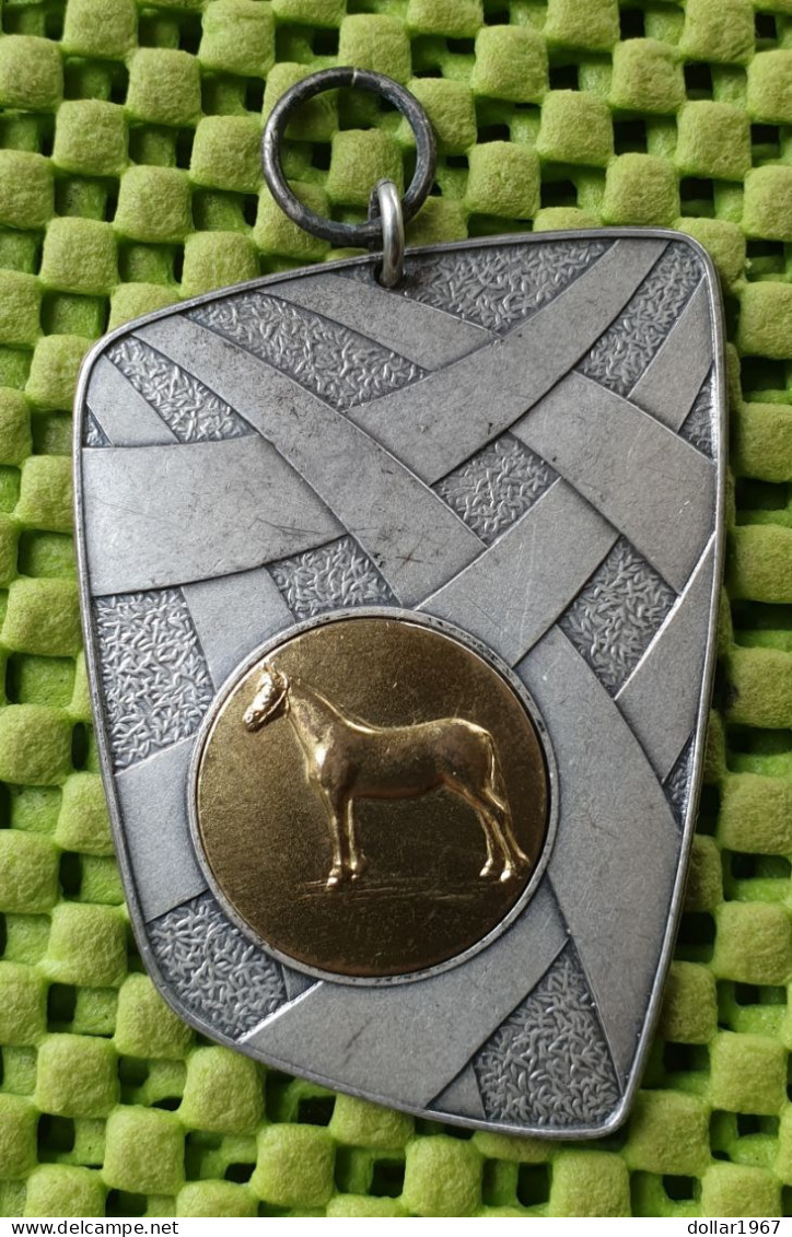 Medaile :  Paarden Keuren - Sch. Landb. Rijp Holten 29-4-1967 . -  Original Foto  !!  Medallion  Dutch - Autres & Non Classés