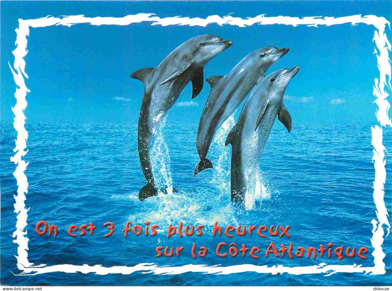 Animaux - Dauphin - Dolphin - Carte à Message - CPM - Carte Neuve - Voir Scans Recto-Verso - Dolfijnen