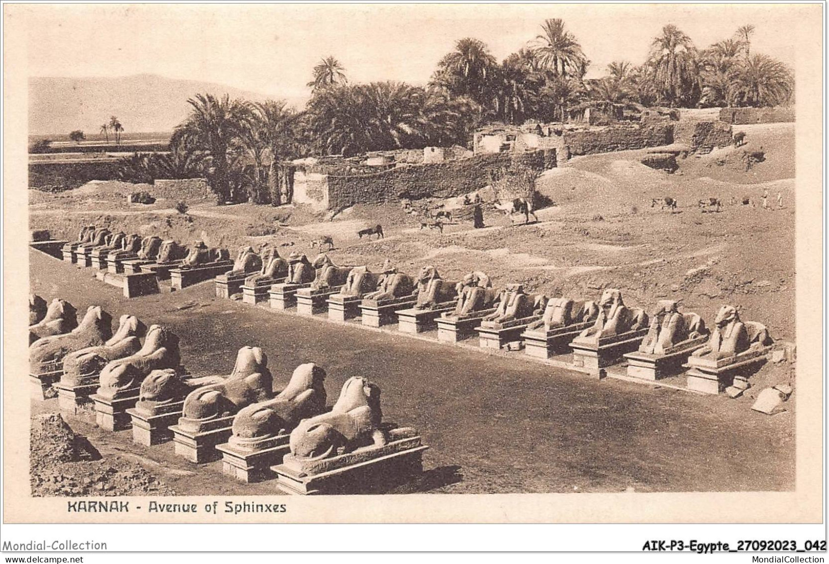 AIKP3-EGYPTE-0224 - KARNAK - Avenue Of Sphinxes  - Sfinge