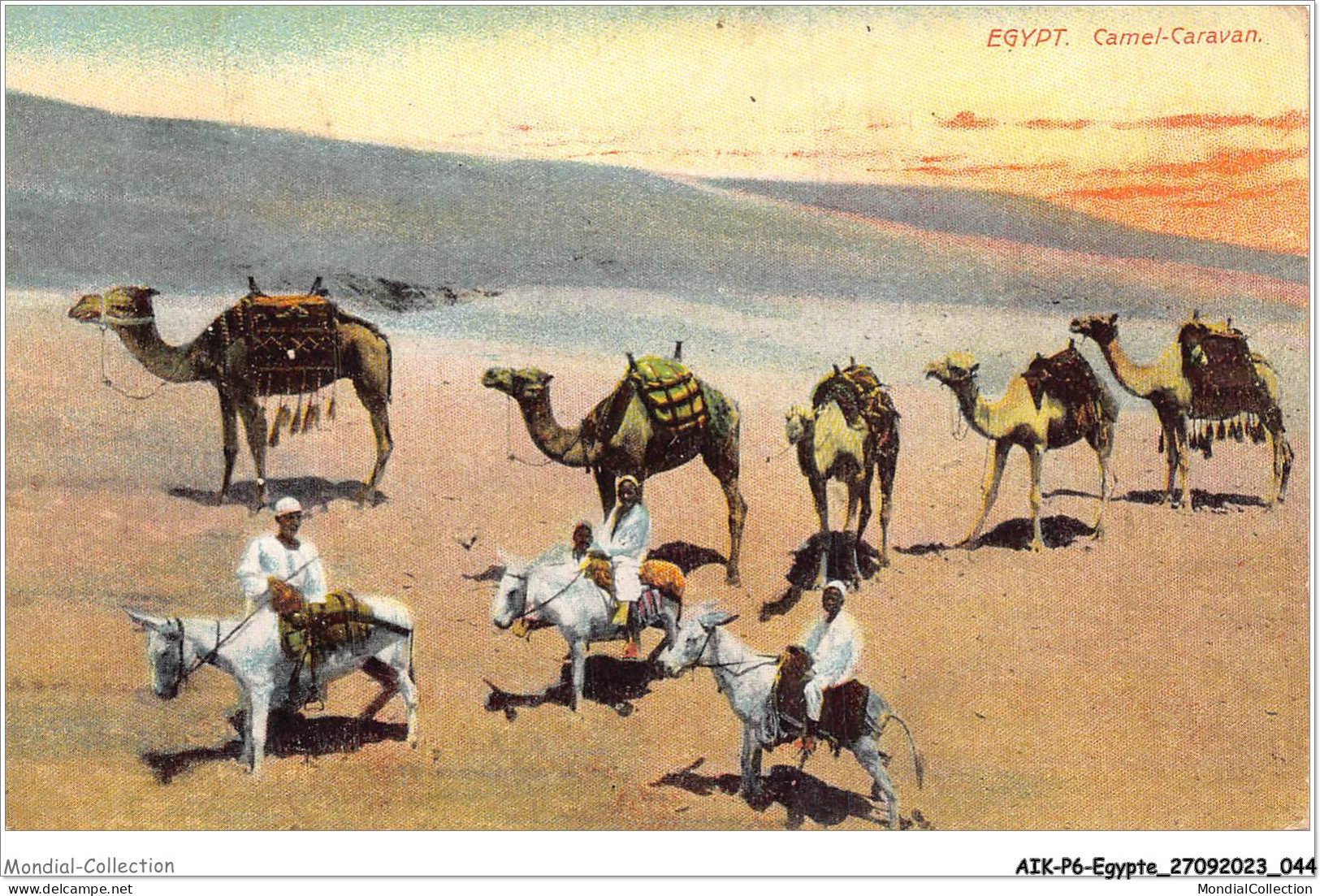 AIKP6-EGYPTE-0511 - Camel-caravan  - Altri & Non Classificati