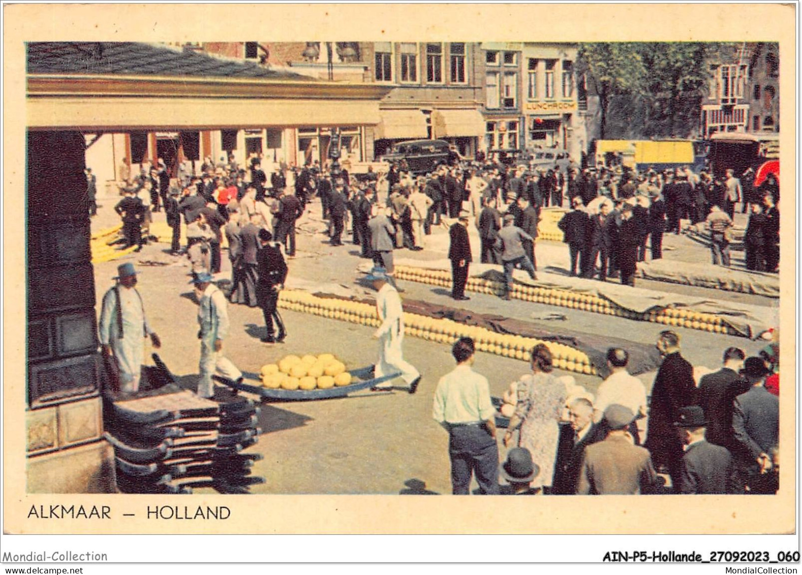 AINP5-HOLLANDE-0450 - ALKMAAR - HOLLAND - Alkmaar