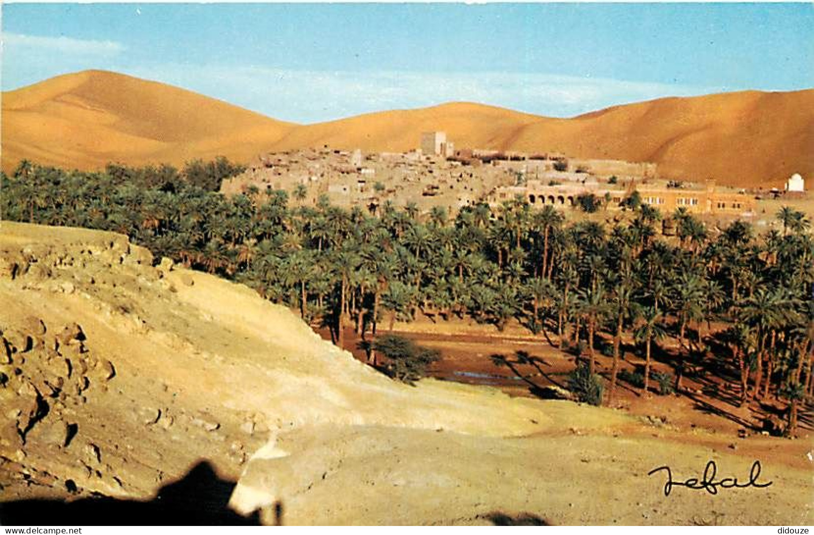 Algérie - Bechar - Taghit - CPM - Voir Scans Recto-Verso - Bechar (Colomb Béchar)