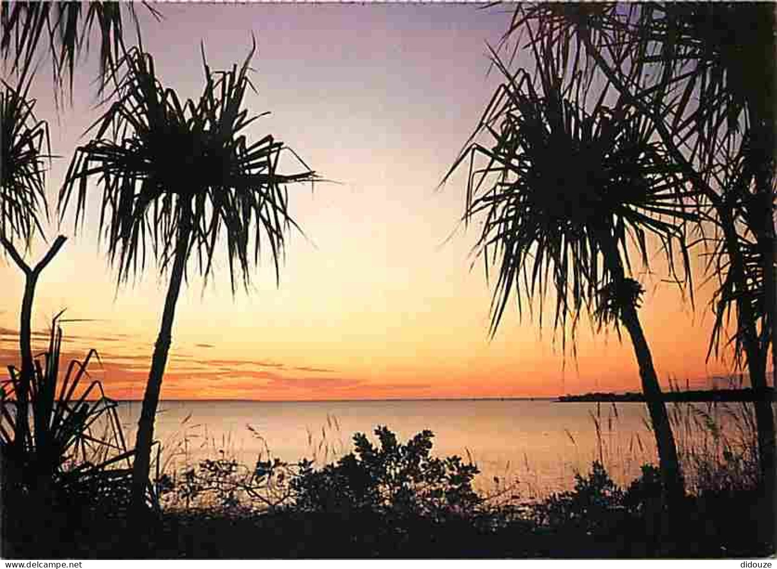 Australie - Darwin - Sunset Over Fannie Bay With Pandanus Palms Framing The Tropic Waters - CPM - Voir Scans Recto-Verso - Darwin