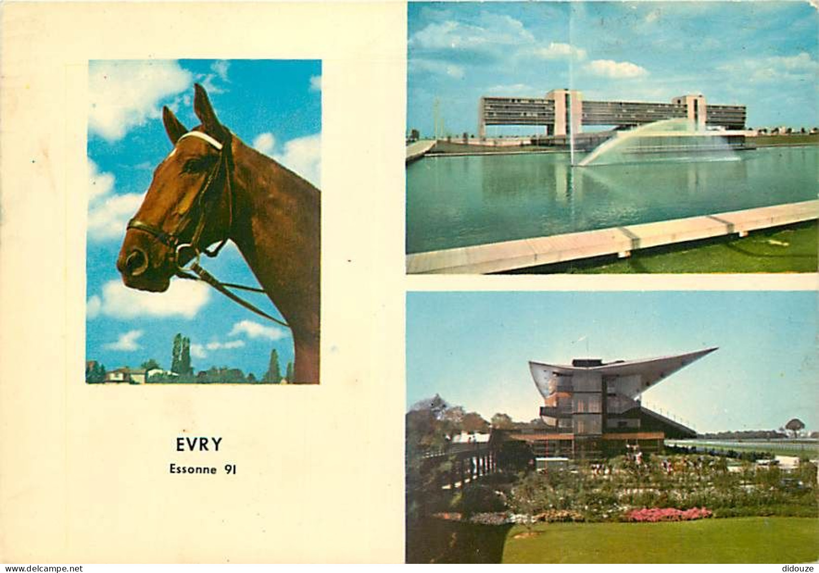 91 - Evry - Multivues - Chevaux - CPM - Voir Scans Recto-Verso - Evry