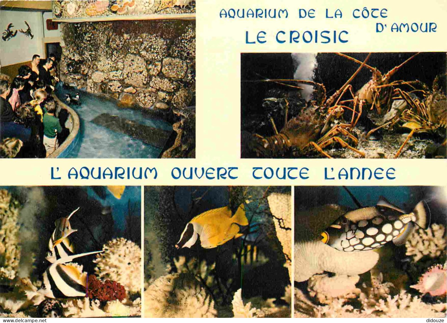 Animaux - Poissons - Aquarium De La Cote D'Amour Du Croisic - Multivues - CPM - Voir Scans Recto-Verso - Fische Und Schaltiere