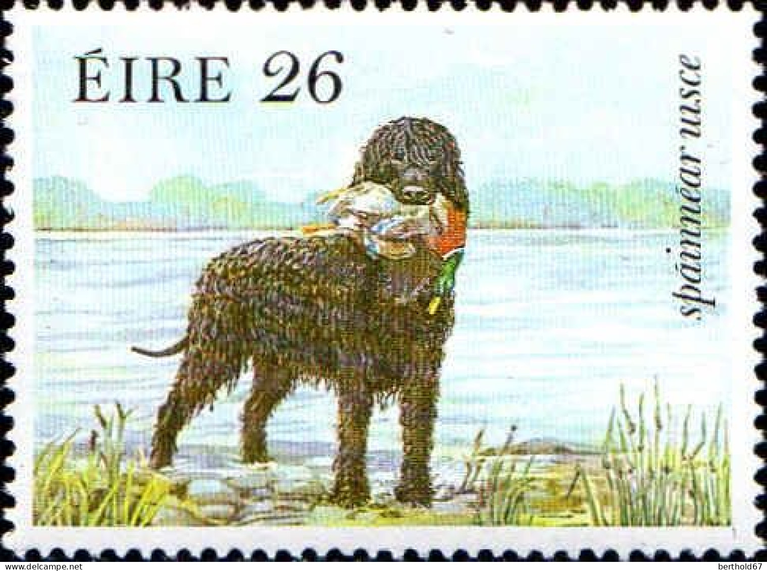 Irlande Poste N** Yv: 508 Mi:512 Spainnear Uisce Chien De Race - Nuovi