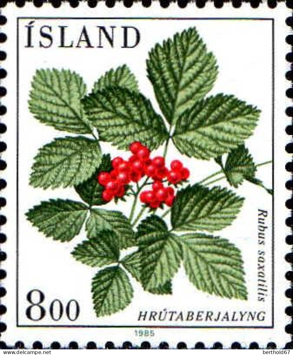 Islande Poste N** Yv:581/584 Fleurs - Neufs