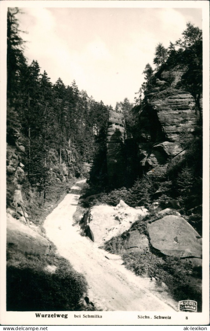 Ansichtskarte Schmilka Wurzelweg M. Seidel Schmilka 1932 - Schmilka