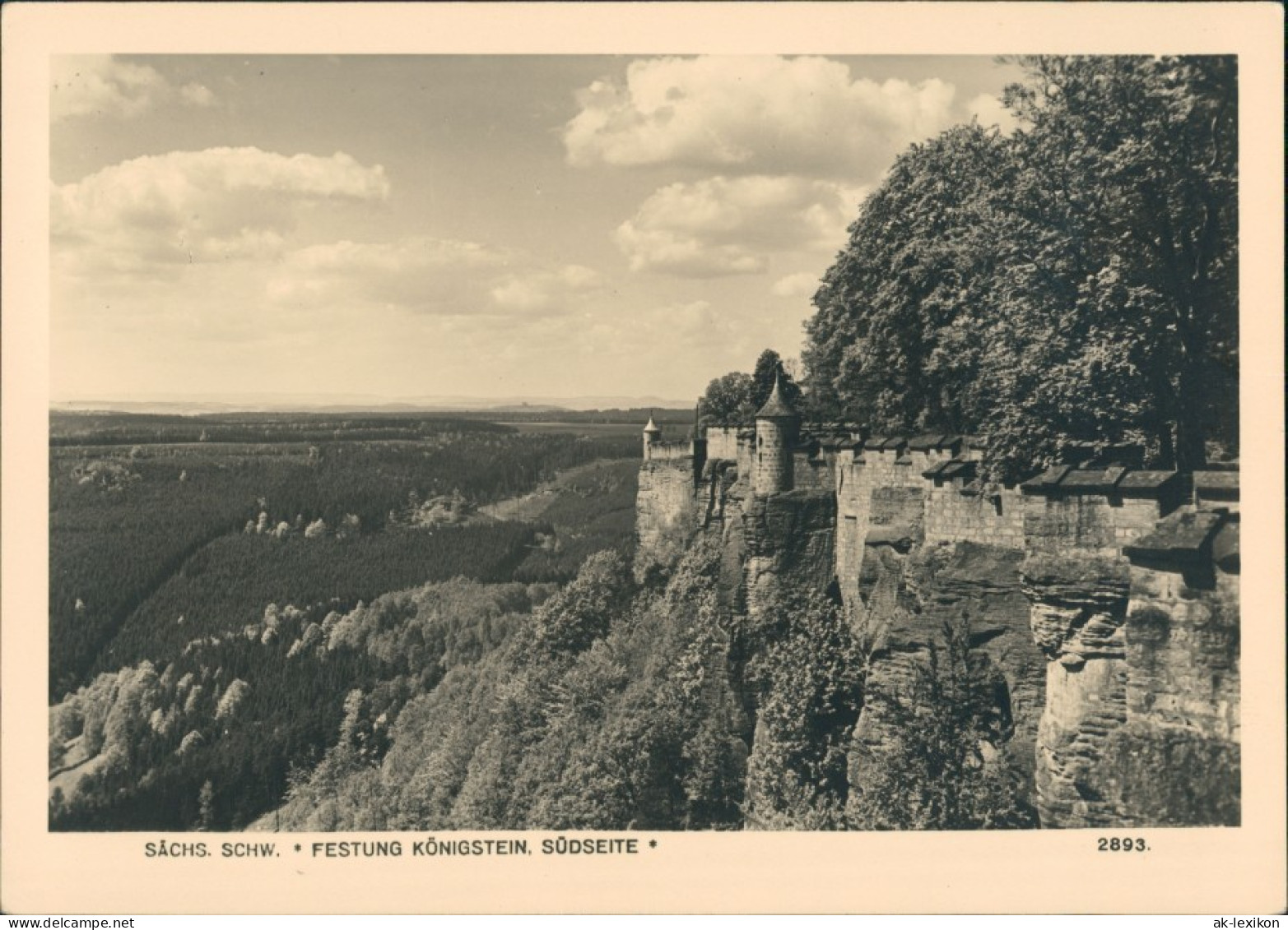 Königstein (Sächsische Schweiz) Festung Königstein Südseite Foto Hering 1953 - Koenigstein (Saechs. Schw.)