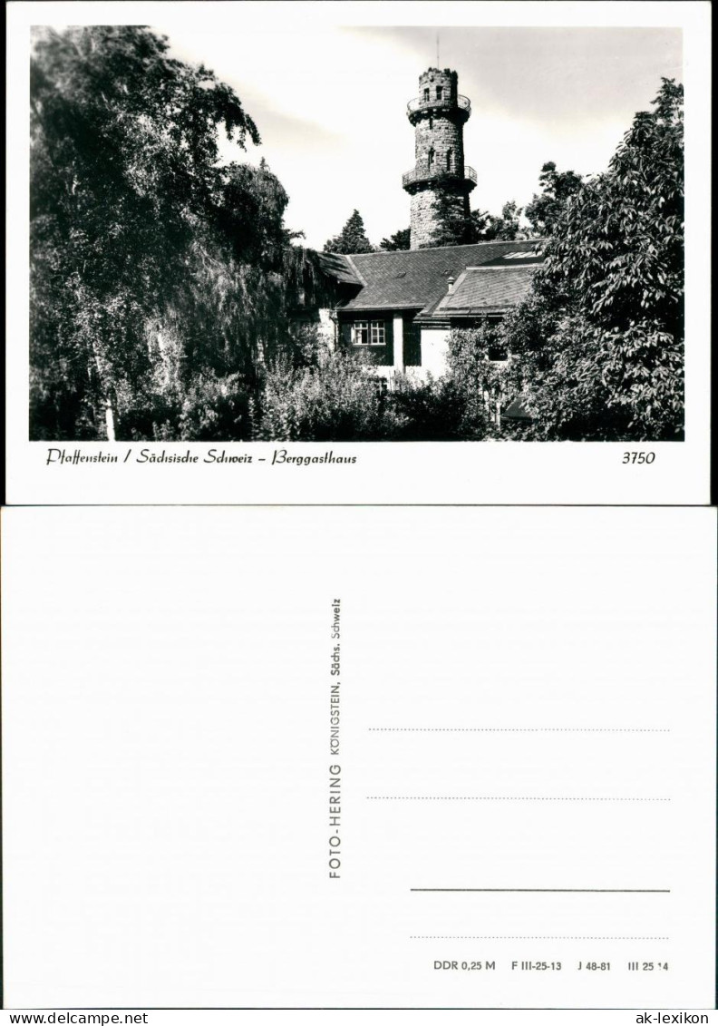 Pfaffendorf-Königstein   Aussichtsturm   Berggasthof Foto Hering 1981 - Koenigstein (Saechs. Schw.)